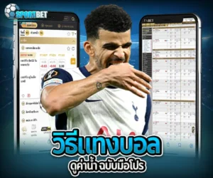 แทงบอลได้เงินจริง ราคาบอลไหล เว็บแทงบอลจ่ายจริง แทงบอลสดเว็บไหนดี แทงบอลสเต็ปแตกง่าย แทงบอลสเต็ป แทงบอลเต็ง พนันบอลออนไลน์ เทคนิคแทงบอล แทงบอลเครดิตฟรี ตารางบอลวันนี้ ทีเด็ดบอลวันนี้ โปรแกรมบอลวันนี้ วิธีอ่านราคาบอล สูตรแทงบอลเต็ง แทงบอลเดี่ยวกำไรดี แทงบอลสเต็ป2คู่ สมัครเว็บแทงบอล ราคาบอลสด แทงบอลเว็บตรง sportbet แทงบอล