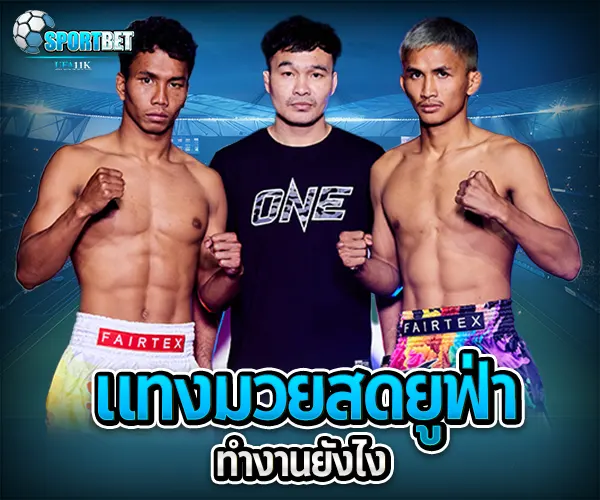 มวยสดยูฟ่า เว็บแทงมวยราคาดี ราคามวยล่าสุด เรตมวยออนไลน์วันนี้ สูตรแทงมวยรอง สูตรแทงมวยเต็ง มวยออนไลน์ไม่ล็อกยูส แทงมวยสด มวยสเต็ปแตกง่าย วิธีเล่นมวยออนไลน์ เว็บมวยไม่ผ่านเอเย่นต์ แทงมวยถูกกฎหมาย มวยสดวันนี้ช่องไหน ตารางมวยพรุ่งนี้ แทงมวยเว็บตรง เว็บแทงมวยแจกโบนัส