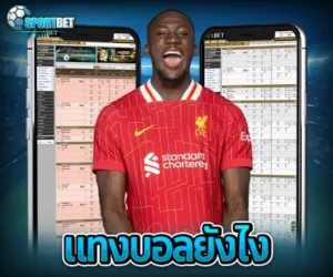แทงบอล แทงบอลออนไลน์ พนันบอล เดิมพันฟุตบอล เว็บแทงบอล เว็บแทงบอลออนไลน์ สมัครแทงบอล สมัครแทงบอลออนไลน์ แทงบอลมือถือ แทงบอลออนไลน์มือถือ แทงบอลผ่านมือถือ แทงบอลออนไลน์ผ่านมือถือ แทงบอลยังไง วิธีแทงบอล วิธีแทงบอลออนไลน์ เทคนิคแทงบอล เทคนิคแทงบอลออนไลน์ แทงบอลให้ได้เงิน แทงบอลออนไลน์ให้ได้เงิน ฟุตบอล ผลบอลสด ดูบอลสด สมัครแทงบอลมือถือ วิเคราะห์บอลวันนี้ แทงบอลยังไงให้ได้เงิน แทงบอลออนไลน์ผ่านมือถือ