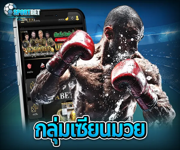 กลุ่มเซียนมวย