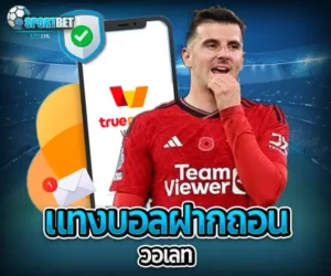 แทงบอลฝากถอนวอเลท