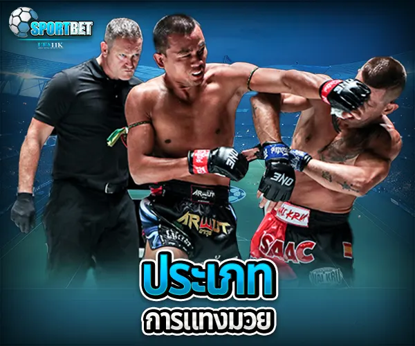 แทงมวยเว็บตรง ราคามวยล่าสุด เรตมวยออนไลน์วันนี้ สูตรแทงมวยรอง สูตรแทงมวยเต็ง มวยออนไลน์ไม่ล็อกยูส แทงมวยสด มวยสเต็ปแตกง่าย วิธีเล่นมวยออนไลน์ เว็บมวยไม่ผ่านเอเย่นต์ แทงมวยถูกกฎหมาย มวยสดวันนี้ช่องไหน ตารางมวยพรุ่งนี้ แทงมวยเว็บตรง เว็บแทงมวยแจกโบนัส
