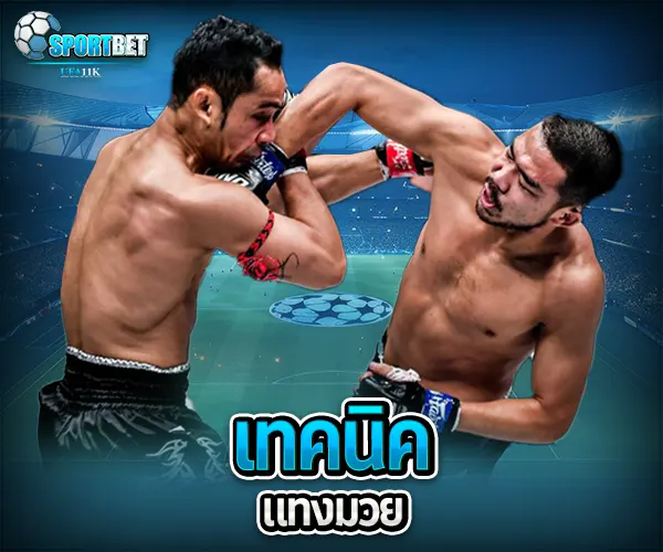 แทงมวยเว็บตรง ราคามวยล่าสุด เรตมวยออนไลน์วันนี้ สูตรแทงมวยรอง สูตรแทงมวยเต็ง มวยออนไลน์ไม่ล็อกยูส แทงมวยสด มวยสเต็ปแตกง่าย วิธีเล่นมวยออนไลน์ เว็บมวยไม่ผ่านเอเย่นต์ แทงมวยถูกกฎหมาย มวยสดวันนี้ช่องไหน ตารางมวยพรุ่งนี้ แทงมวยเว็บตรง เว็บแทงมวยแจกโบนัส