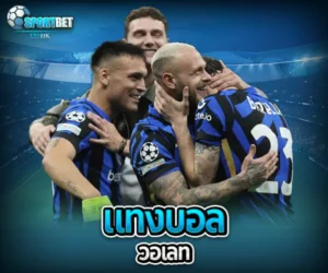 แทงบอล วอเลท sportbet