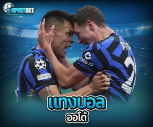 แทงบอลออโต้ sportbet