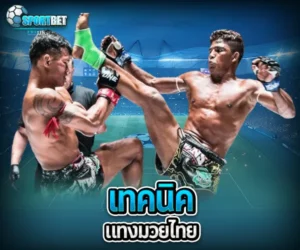 เทคนิคแทงมวยไทย sportbet