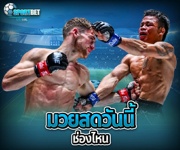 มวยสดวันนี้ช่องไหน sportbet