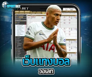 เว็บแทงบอลวอเลท sportbet