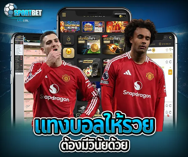 วิธีเลือกเว็บแทงบอล sportbet