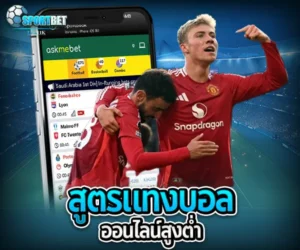 สูตรแทงบอลออนไลน์สูงต่ำ sportbet
