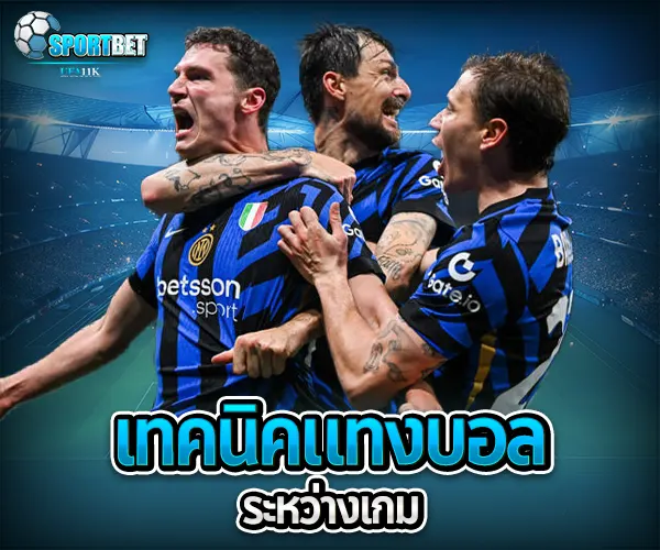 เทคนิคแทงบอลให้ได้เงิน sportbet