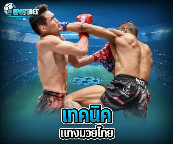 เทคนิคแทงมวยไทย sportbet