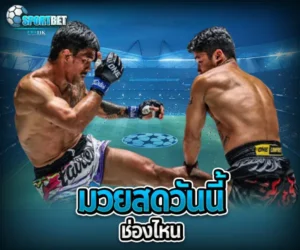 มวยสดวันนี้ช่องไหน sportbet