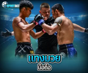แทงมวยมือถือ sportbet