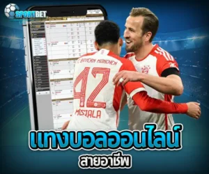 แทงบอลออนไลน์สายอาชีพ sportbet
