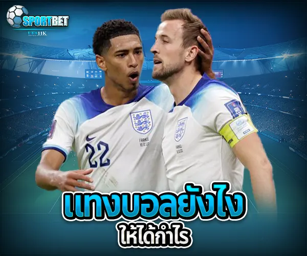 แทงบอล ยังไง sportbet