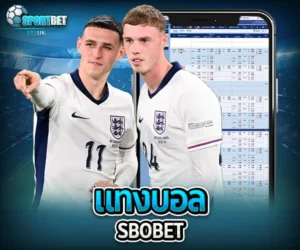 แทงบอล sbobet sportbet