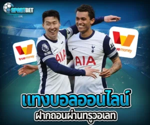 แทงบอลออนไลน์ฝากถอนผ่านทรูวอเลท sportbet