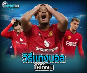 วิธีแทงบอลให้ได้เงิน sportbet