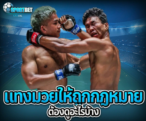 แทงมวยถูกกฎหมาย sportbet