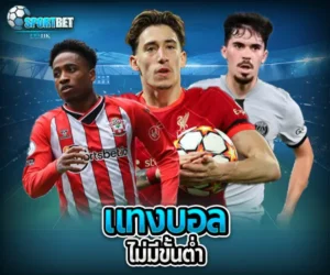 แทงบอล ไม่มีขั้นต่ํา sportbet
