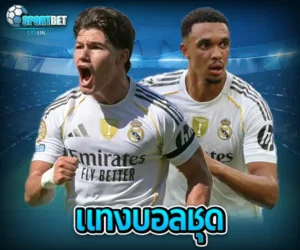 แทงบอลชุด sportbet