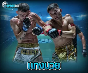 แทงมวย sportbet